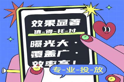 解析某某SEM服务公司的广告投放策略与效果评估